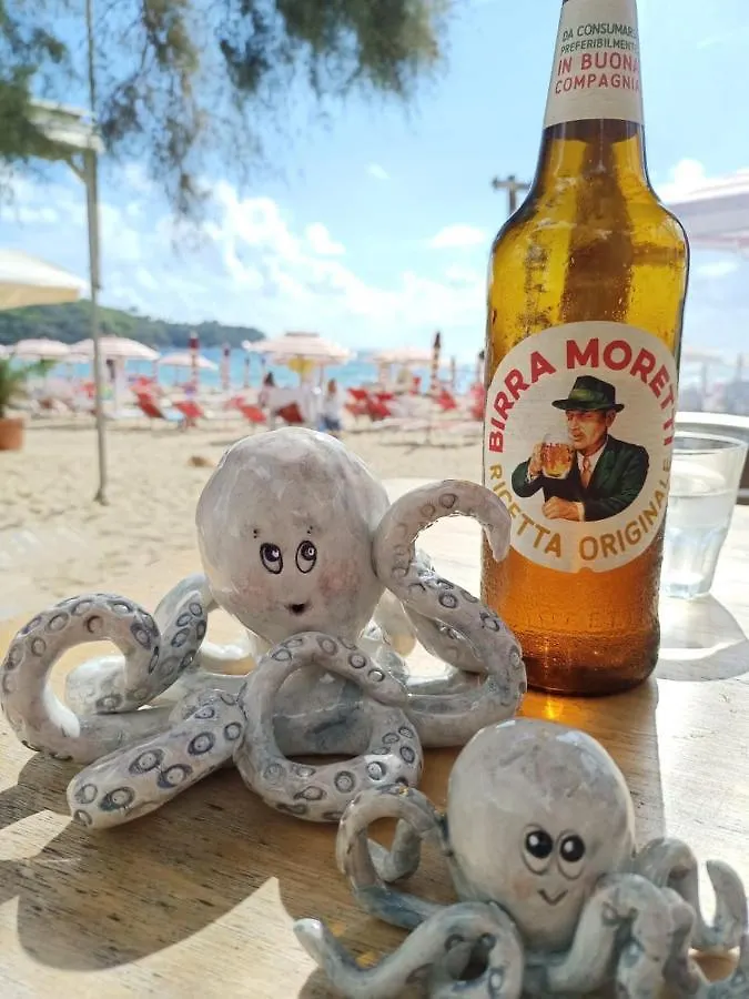 Il Polpoleo In Porto Azzurro Isola D'Elba Daire